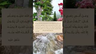 من أقوال الرسول صلى الله عليه وسلم ‏⁧‫#السنة_النبوية‬⁩  #متفق_عليه