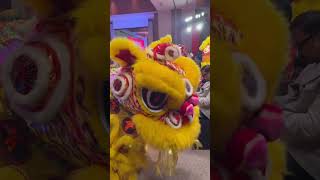 Chinese New Year 2024 Celebration In Kolkata, India #shorts