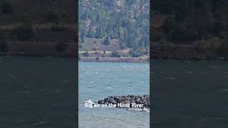 Defying Gravity - Big Air on the Hood River