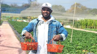 Fanling Strawberry Farm - Paling murah dibanding kebun yang lain