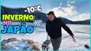 INVERNO NO INTERIOR DO JAPÃO! Passamos muito FRIO no Lago Haruna em Takasaki - Gunma ken. 🥶☃️