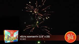 Есть контакт! ЕС463