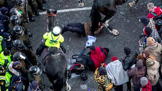 First Nations Lady asks for PEACE - moments before Police Horses trampled her