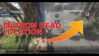 SOLVED: Where to find Matron Head - Enshrouded