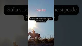 Sulla strada che si perde all'orizzonte #aforismi #cavalli #animali #saggezza #frasedelgiorno