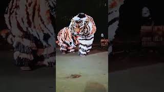 Macan Macanan Khas Madura SINGO RAUNG #SHORTS