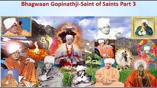 Bhagawaan Gopinathji Saint of Saints Part 3