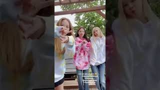 BLACKPINK members dancing to Lalisa #shorts #blackpink