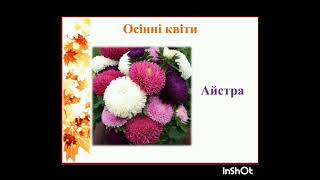 Ознайомлення з соціумом "Осіннє диво - квіти"