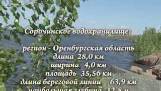 Открытый Кубок Оренбургской области по ловле донной удочкой. Команда ТРАПЕР.