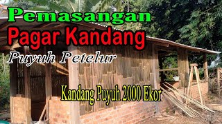 Pemasangan Pagar Kandang Puyuh Kapasitas 2000 Ekor