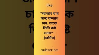 এক নজরে দেখে নিন কিছু কোরআন  হাদিস | সুন্দর কোরআন হাদিসের কোটেশন | #quran_hadith #islamicstatus