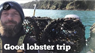 Hand pulling lobsters traps LIVE