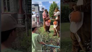 Chip and Dale Fighting Over Stickers - Disney's Hollywood Studios #shorts