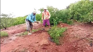 Seu sérgio briga com seu mané por causa do pau !