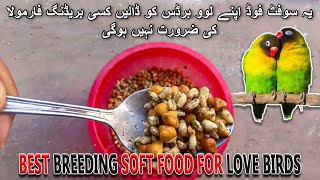 YE SOFT FOOD APNE LOVE BIRDS KO DALAYN KISI BREEDING FORMULA KI ZAROORAT NAHI HOGI | AAB INFORMATION