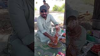 #picnic #with #friends #coconut #farm #pasni #balochistan #noorkhanbezanjo #songs