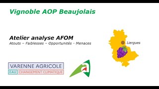 Atelier 6 – AOP Beaujolais