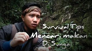 ( SURVIVAL TIPS 1 ) Mencari makan di hutan tropis di musim hujan