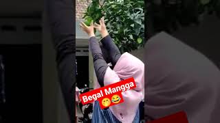 Beg4l Mangga #shorts