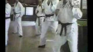 Kyushindo Karate