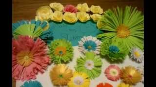 Quilling Paper Flowers Made by Me