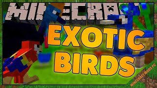 Exotic Birds Mod 1.16.5/1.15.2/1.12.2 - Minecraft Mods for PC