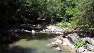 Les gorges de Bicaz (Roumanie)