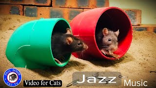 Soothing Jazz Instrument, Relieve Stress | Relaxing Jazz Music | Mouse Hide And Seek For Cat To See