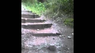 Headley Steps - going up