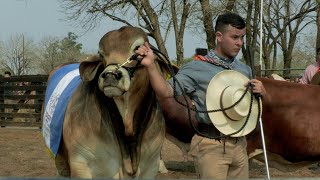 EL GOBERNADOR  VALDÉS INAUGURÓ LA 88° EXPOSICIÓN RURAL DE CORRIENTES