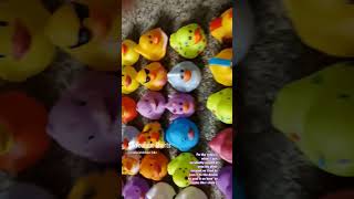 My awesome duck army!