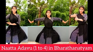 Naatta Adavu in Bharathanatyam - Lesson 5