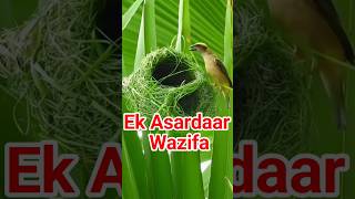 नायाब वजिफा/ asardar wazifa #latestbayan