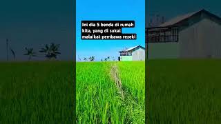 Masya Allah ternyata malaikat Rahmat sangat menyukai nya. #kisa#fakta #dakwahislam #viralvideo