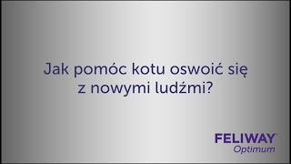 Jak pomóc kotu oswoić się z nowymi ludźmi? | FELIWAY Optimum