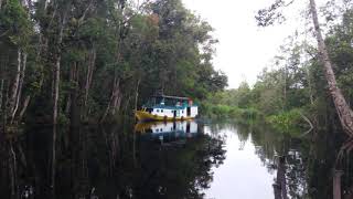 tanjung puting fun trips