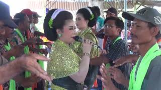 TAYUB TUBAN NYI LINAWATI, NYI MINDARWATI & NYI INAYAH LIVE JEROKGULUNG SEMANDING DISC A