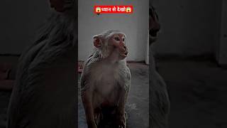 बजरंगबली जय हो 😱🔥 #shorts #funnyvideo #ytviral #trending #comedy