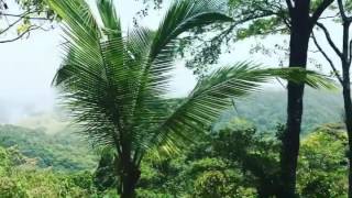 This is Panama: San Blas Hills