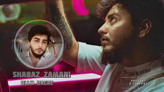 Shabaz Zamai_-_Dllm Dagre_-_2021