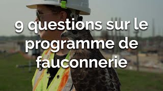 9 questions sur le programme de fauconnerie