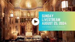 Livestream: August 25, 2024