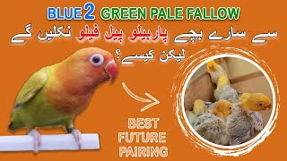 GREEN PALE FALLOW KO BLUE-2 KESE BANAYN? | B2 PALE FALLOW SE SB BACHE 100% PARBLUE PALE FALLOW AYNGE