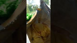 Japota potato Chips~Rasa MADU MENTEGA #shortvideo