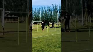 Entrenamiento de Fuerza