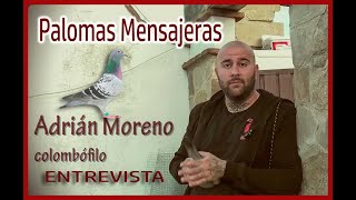 PALOMAS MENSAJERAS.- Adrian Moreno