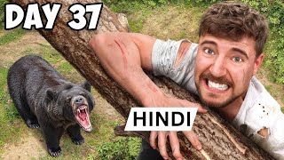 $10,000 Every Day You Survive In The Wilderness ! New MrBeast Hindi !