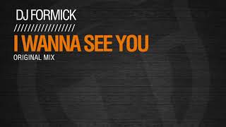 TR211 DJ Formick  - I wanna see you (Original Mix)