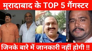 Muradabad  जिले के TOP 5 गैंगस्टर  जिनके बारे में जानकारी नहीं होगी!Dysp  के पिता की हत्या ||